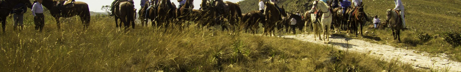 Cavalgada Manga Larga Machador – Núcleo Alto Mogiana